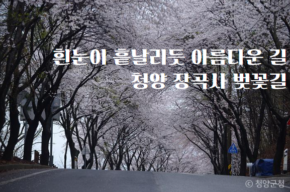 제목